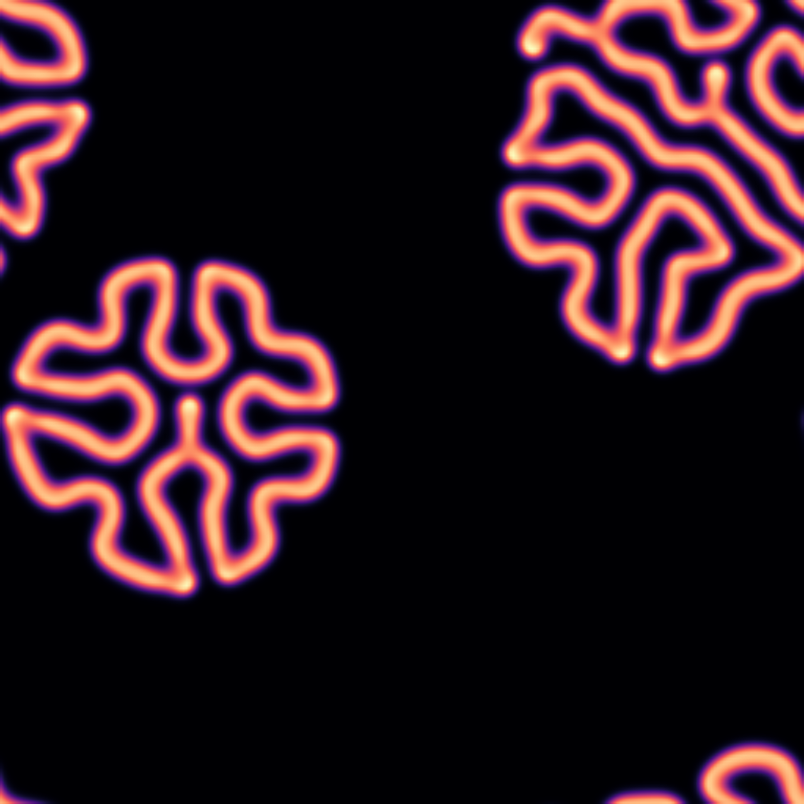 Gray-Scott patterns