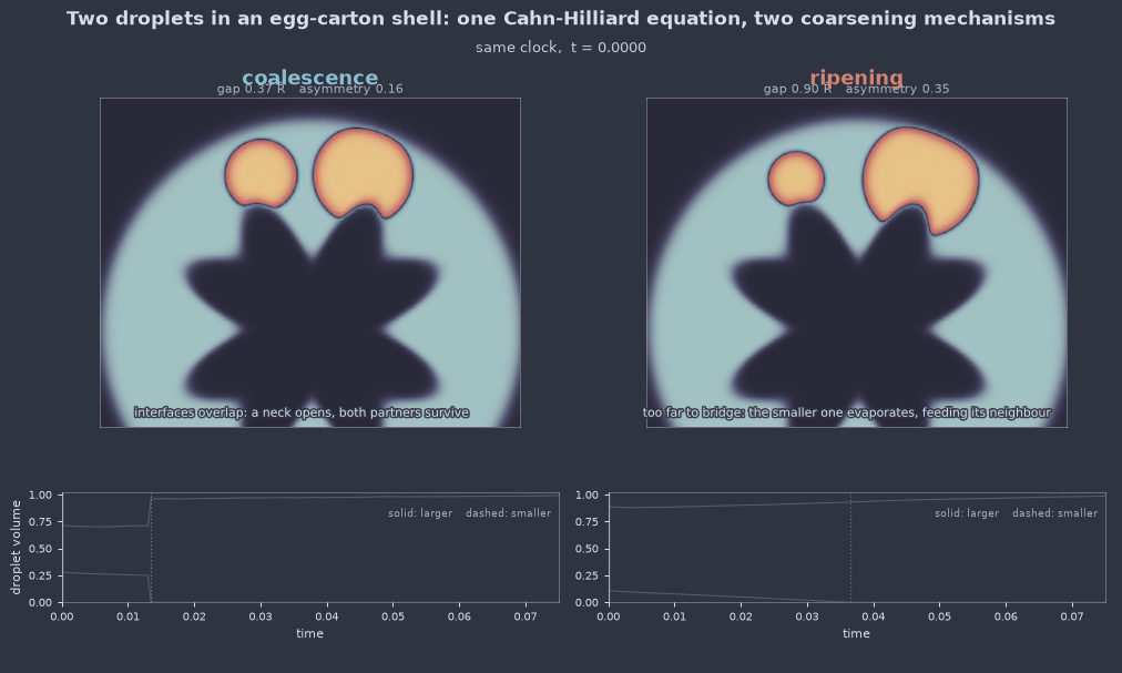 Coarsening animation