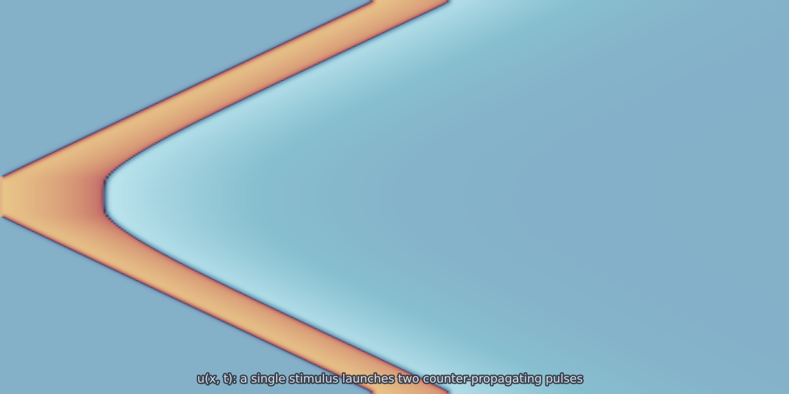 fitzhugh_nagumo_1d